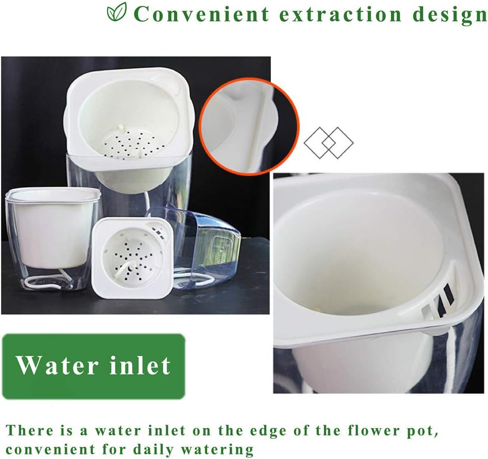 FENGZHITAO Self-Watering Planter, Clear Plastic Automatic-Watering Planter Flower Pot Square-Plant-Pot for All Plants, Succulents, Herb, African Violets, Flowers (Clear L)