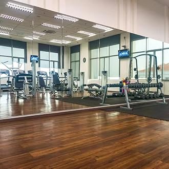 H-A Hans & Alice Gym Mirrors for Home Gym, Wall Mounted Activity Mirrors for Home Gym & Commercial Use 48"x32" (3 Pack)