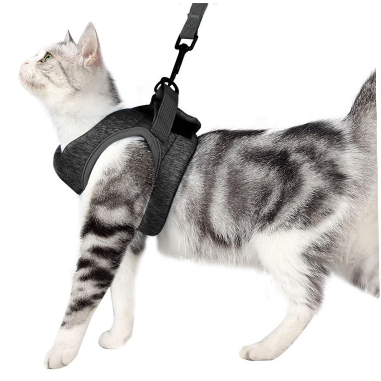 INOOMP 3pièces pour Chat Léger Et Confortable Harnes Maille Respirante pour Chats Adultes Accessoire Chic Et Pratique pour Promenade Toute Sécurité
