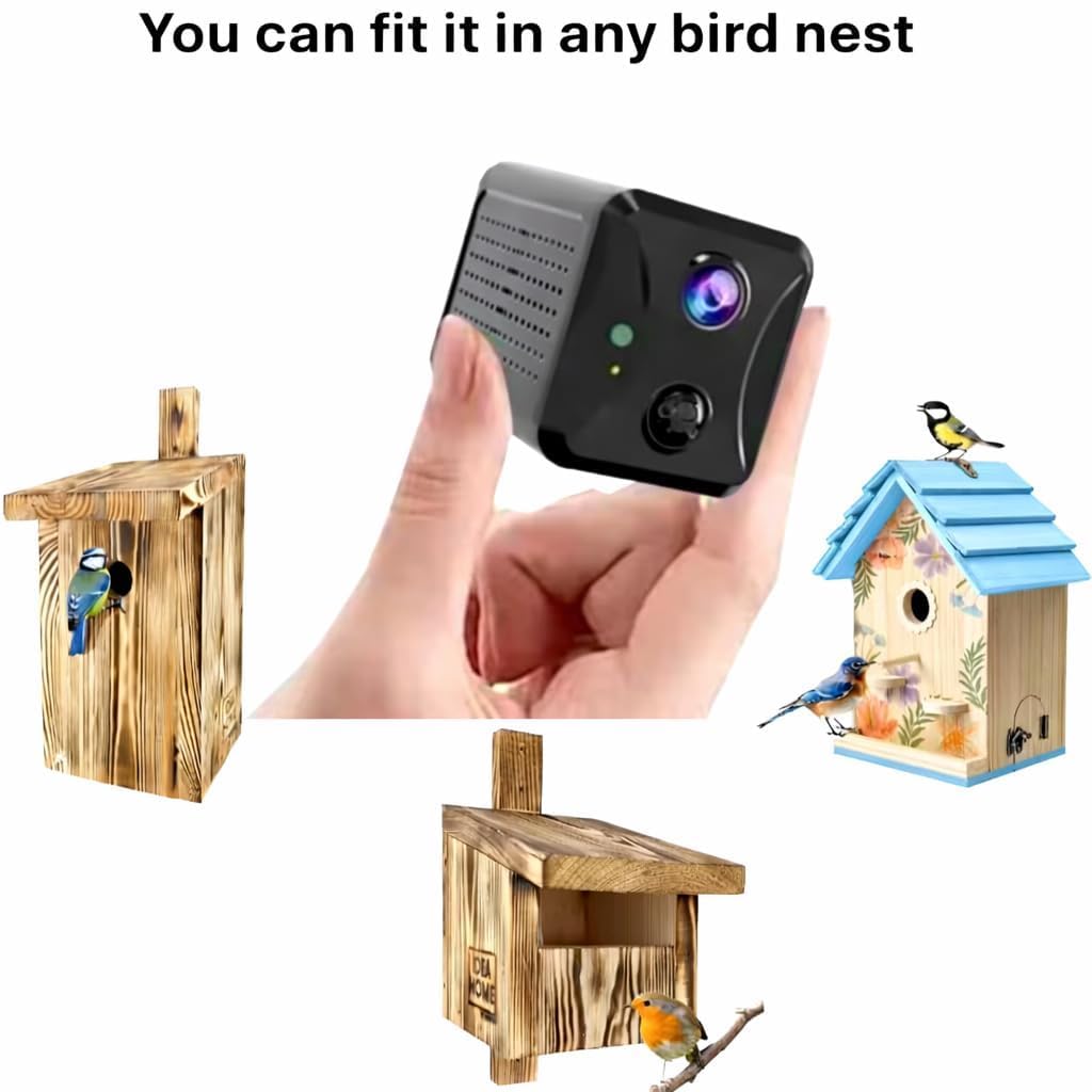 Cámara solar para pájaros con WiFi, cámara inalámbrica HD Nest Box con visión nocturna, transmisión en vivo de pájaros de jardín a tu teléfono, cámara de vida silvestre alimentada por energía