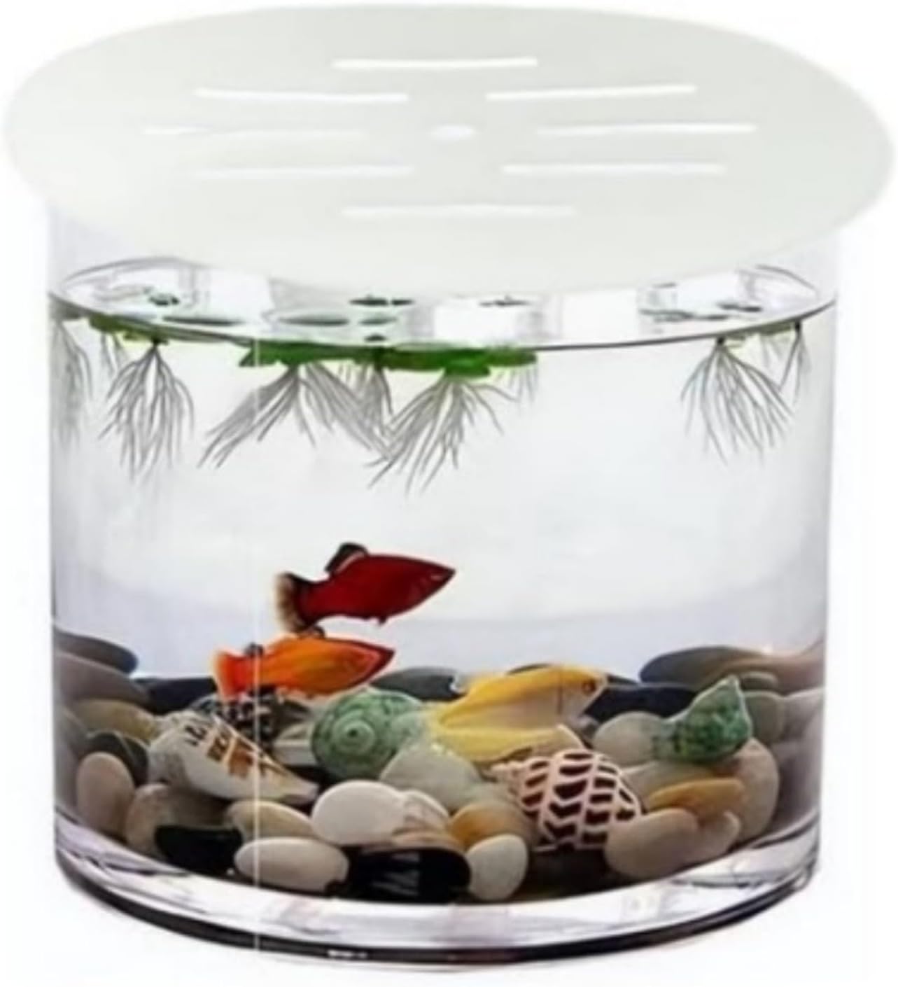 Acrylic Aquarium Anti Jumping Lid Cover 2PCS, Round 7.5 Inch Fish Tank Cover with Multi Holes to Prevent Fish, Shrimp, Turtles, Reptiles from Jumping Out