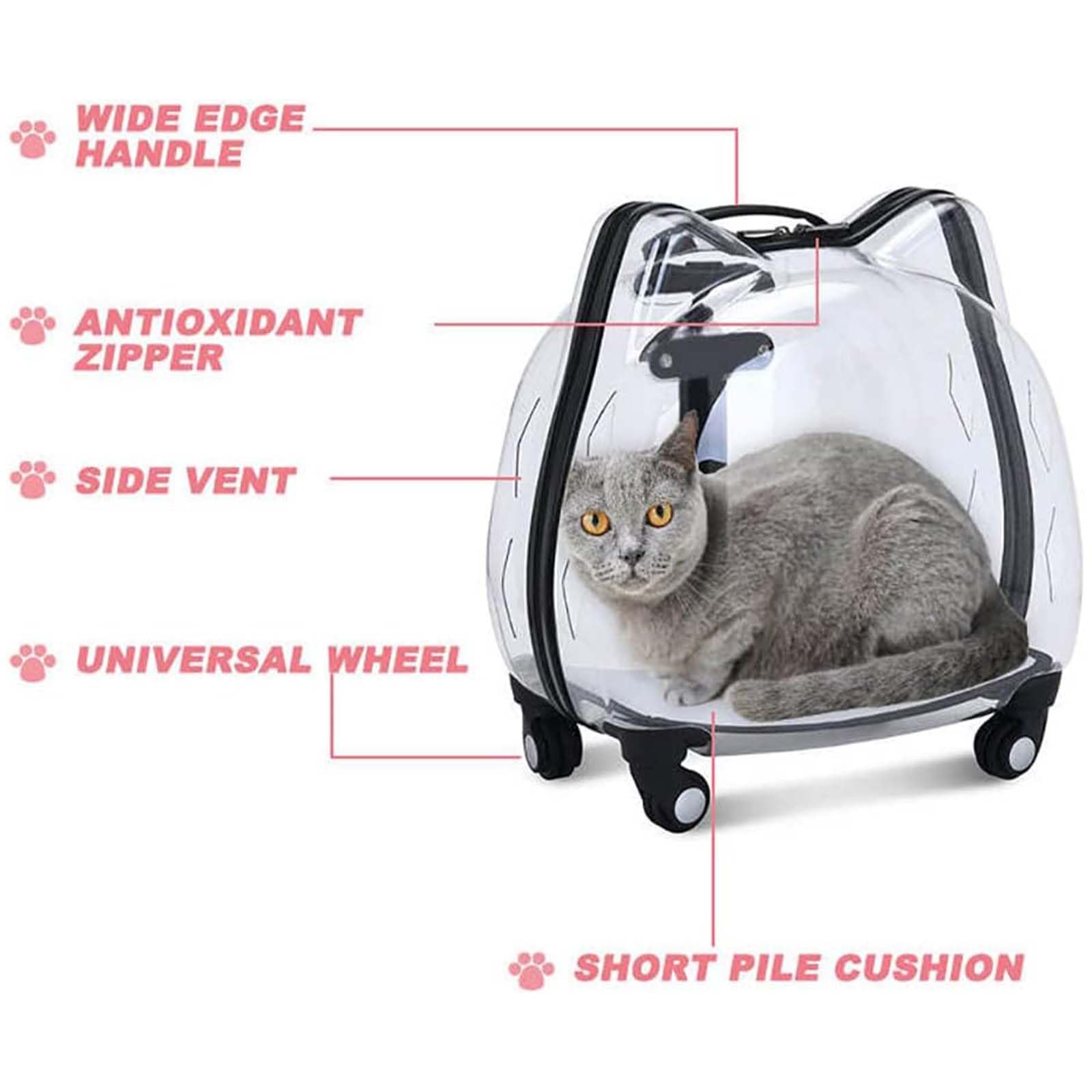 Trolley trasparente per animali domestici, zaino rigido traspirante con ruote girevoli, ideale per viaggi e gatti di piccola taglia