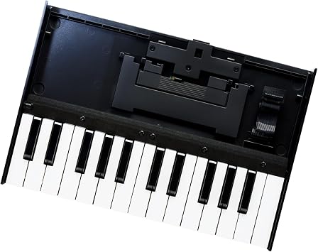 Roland K-25M Boutique Module Dock USB MIDI Keyboard, 12 inch (K-25M)