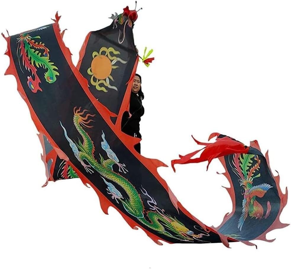 TFG - Ttfd Silk Dragon Dance Outdoor Leisure Fitness Dance Dragon Flag, Dragon Dance Flag with Rope and Bag(C,8m)