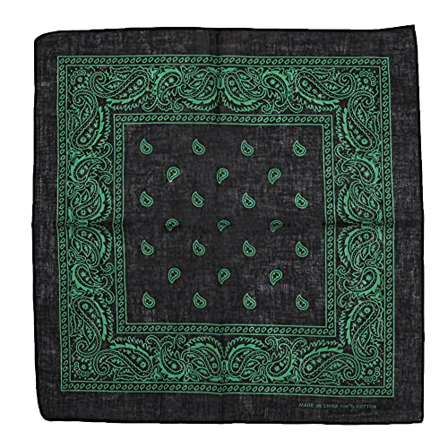 Zac's Alter Ego Retro Vintage Stile Cowboy Paisley...