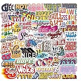 Daniteort 55 PCS Funny Word Stickers, Slang Stickers, Adults & Teens, Vinyl, Cartoon, Decorative Laptop Decals