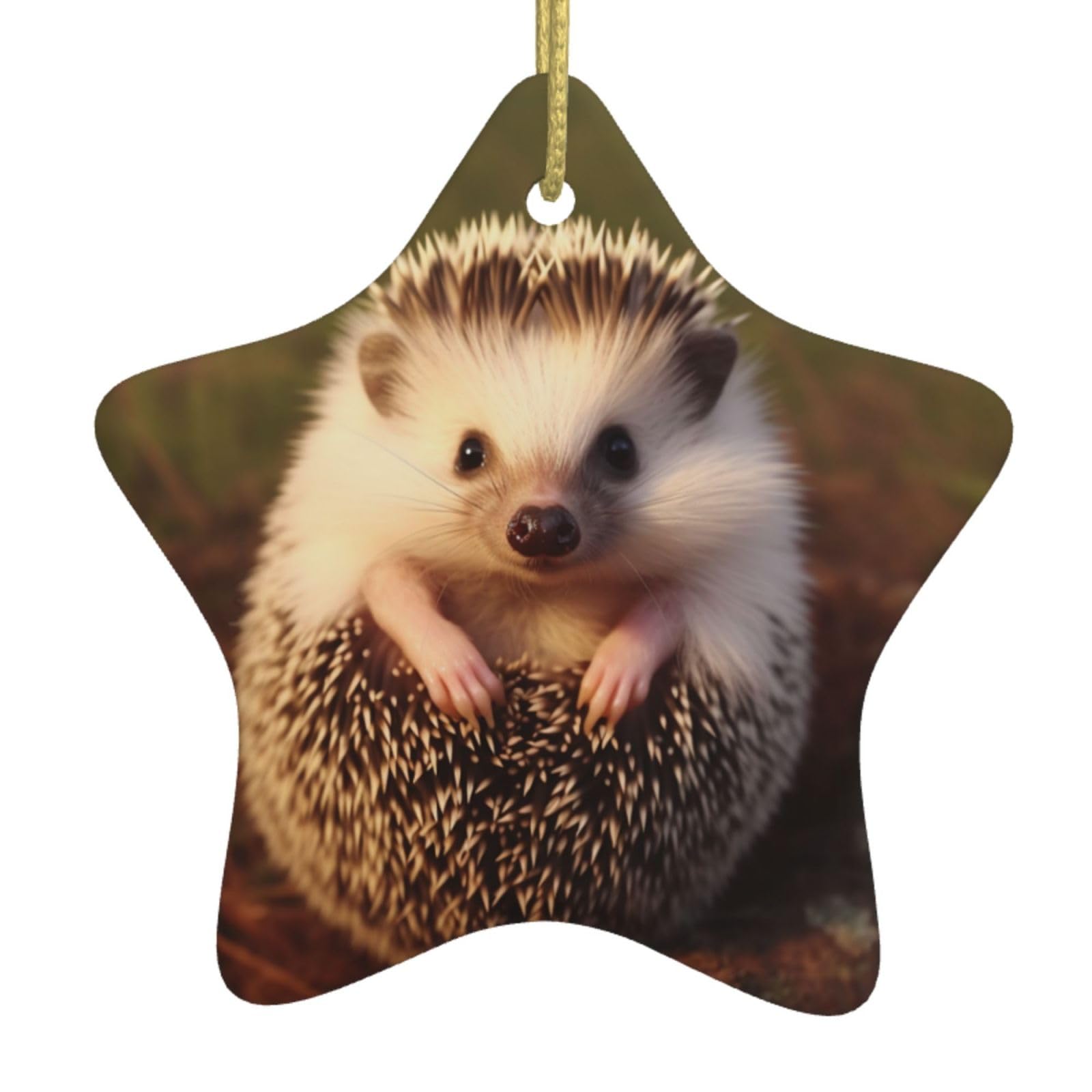 Fodpand Women's White Hedgehog Christmas Ornaments 2025, Gift Exchange For Men, Collectible Ceramic Ornament Star Hanging Ornaments For Christmas Tree Decoration