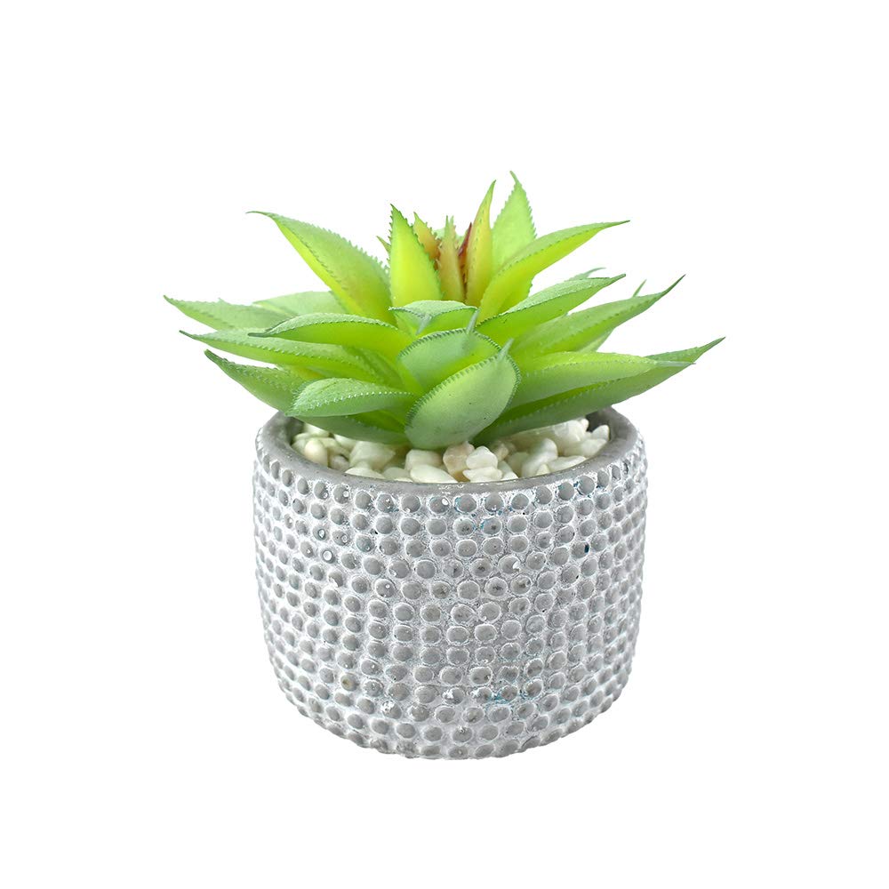 Homeford Artificial Succulent with Pot, 5-Inch