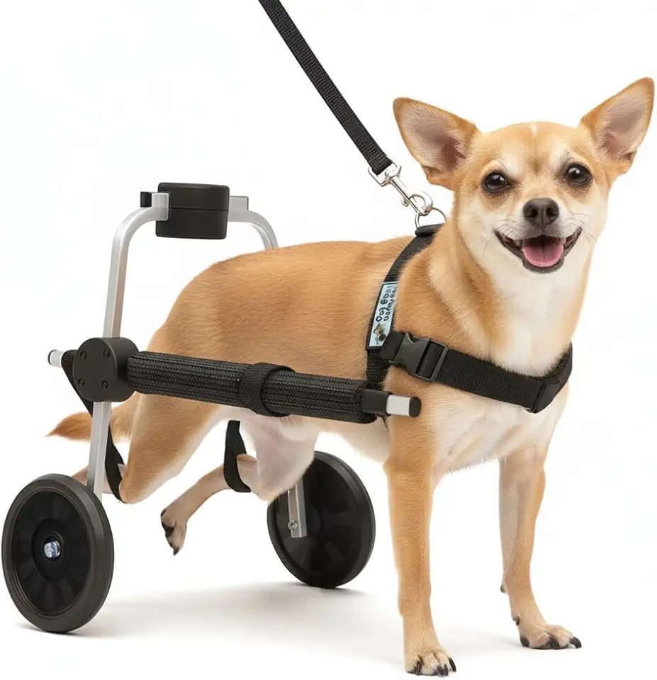 Cadeira de 2 Rodas para Cachorro Tamanho Micro Carrinho Regulável Pata Traseira Paraplegia Paralisia Idoso Reabilitação