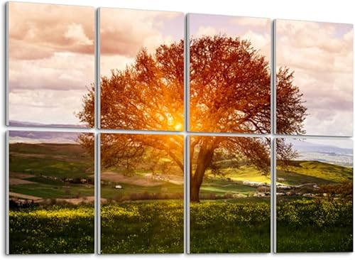 Paneles acústicos de pared insonorizados para árbol y flores, campo, primavera, amanecer, autoadhesivos, arte, reducen la habitación, reverberación