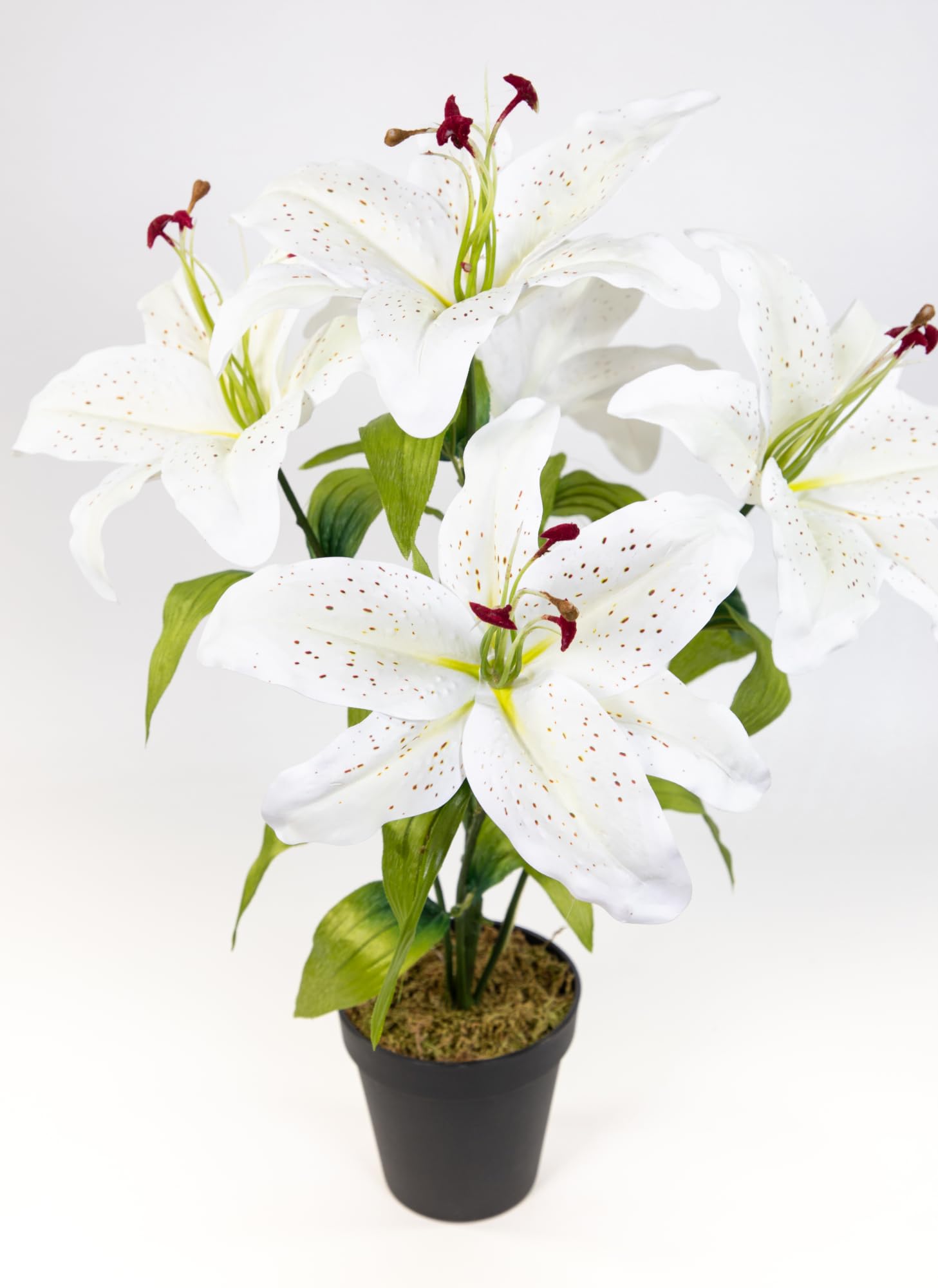Amazon.de: Seidenblumen Ro Lilie Real Touch 50cm im Topf DP Kunstblumen  Kunstpflanzen knstliche Blumen Pflanze (Wei)