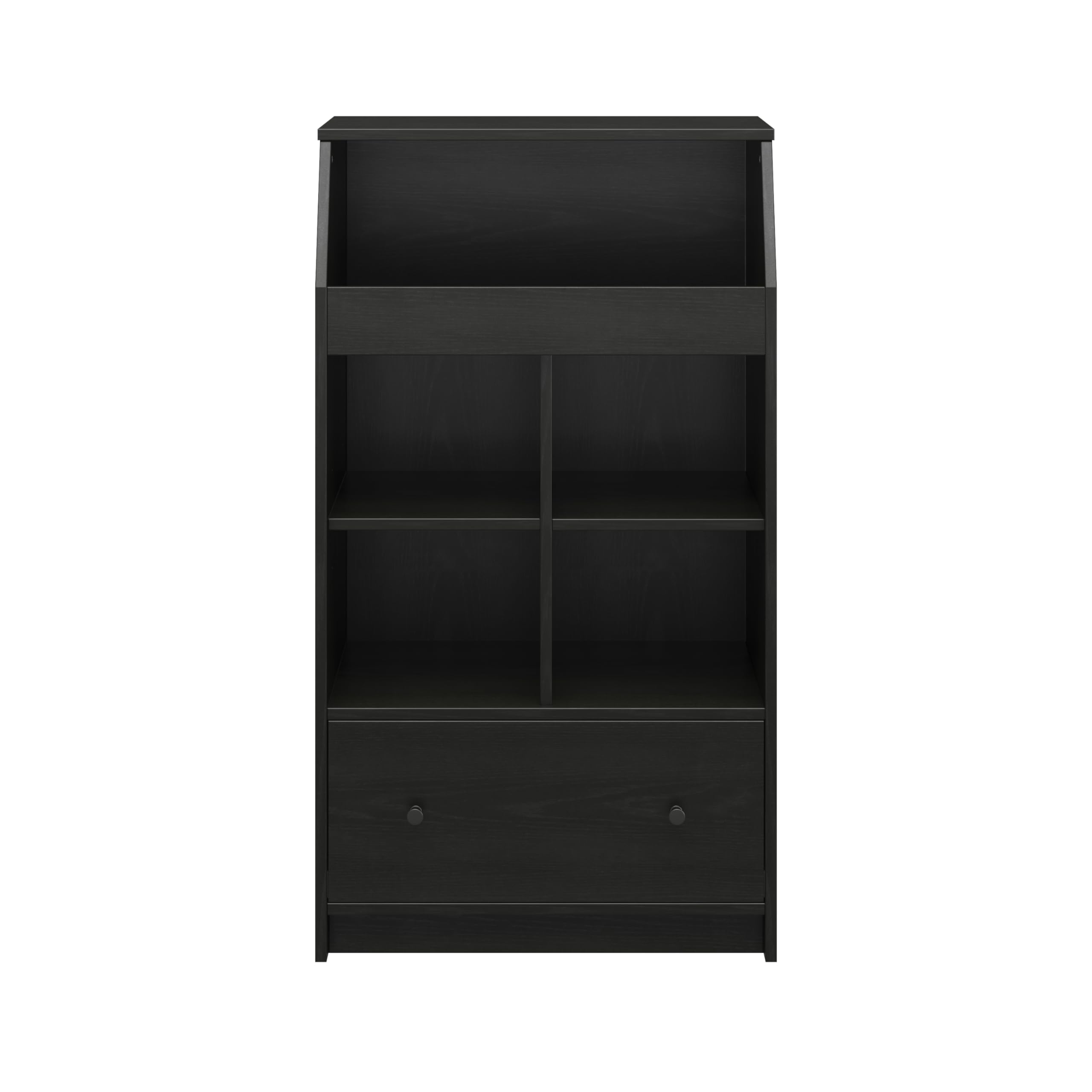 Ameriwood Home The Loft 2 Door Storage Tower, Black Oak