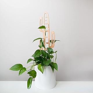 10 Garden Wall Trellis Ideas for Vertical Flowers and Vines 103 Treleaf Cactrella Barrel Cactus Inspired Wooden Trellis – Grande Size 24...