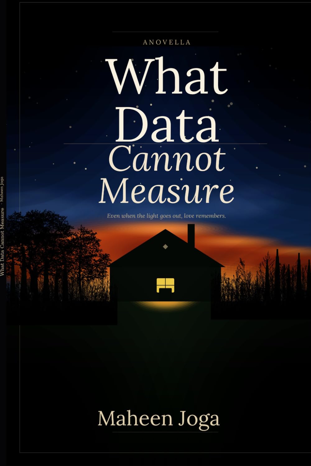 What Data Cannot Measure