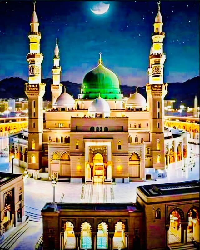 Image of TULIP N TURTLE Madina DIY 5D Diamond Painting Kit Round Dril Cross Stitch