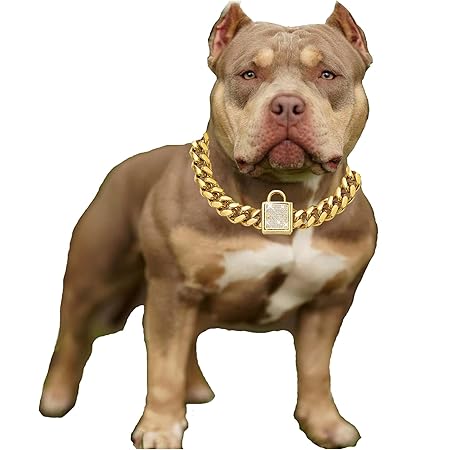 Gold chains for puppies Clearance