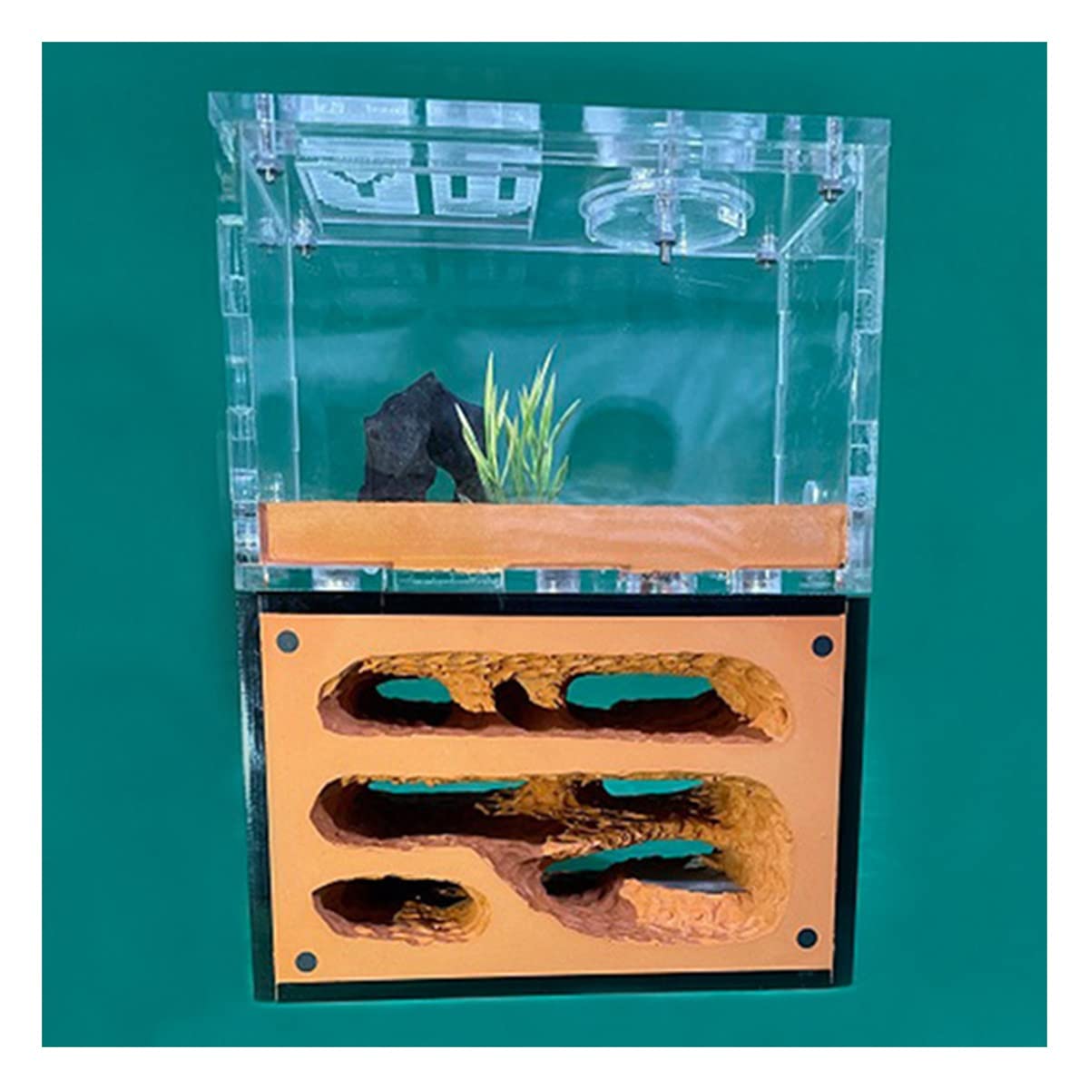 Fourmilière nid écologique formicarium box avec système d'humidification