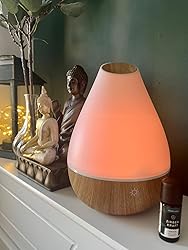 Promed AL-1300 WS Essential Oil Diffuser - 1300 ml Ultrasonic