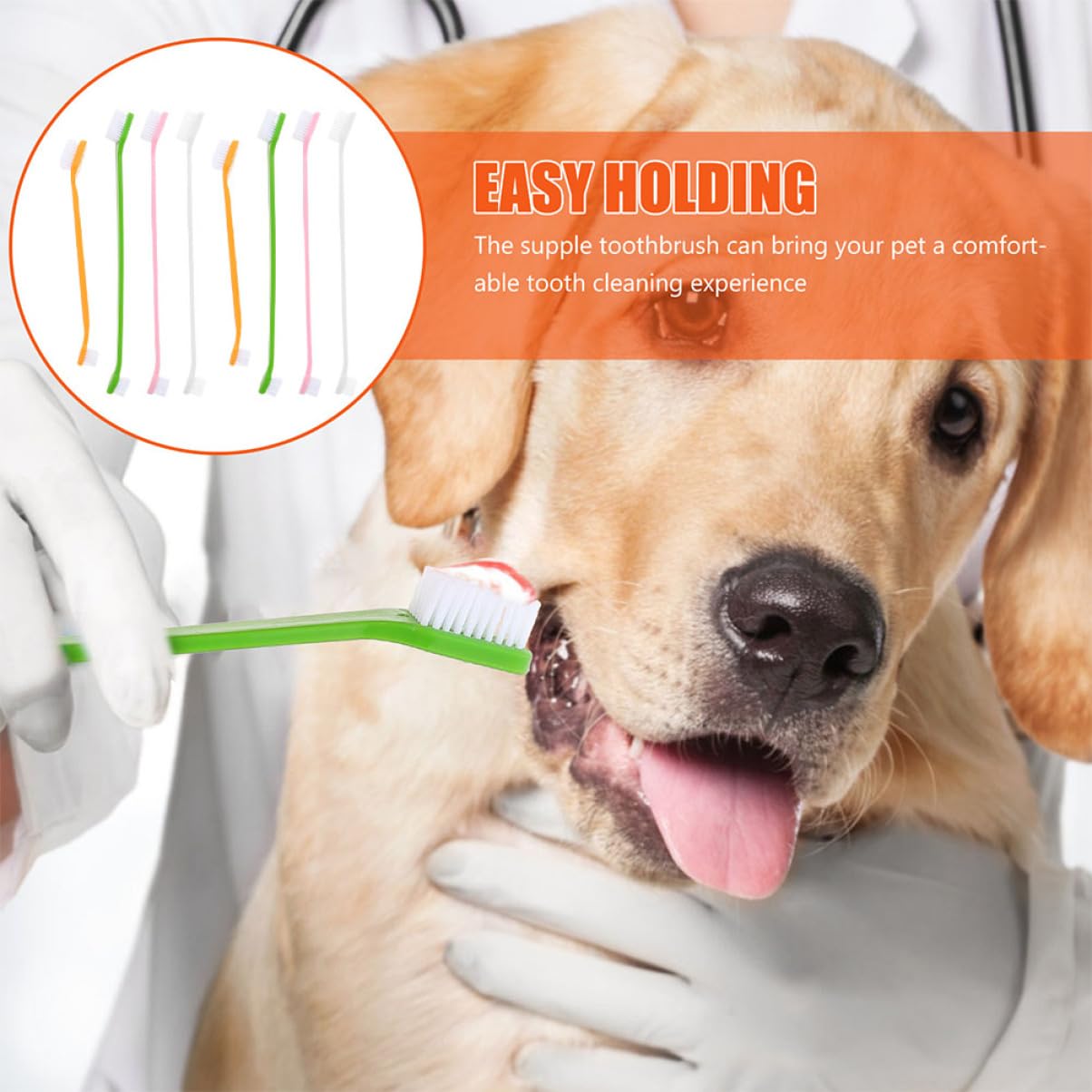 BESPORTBLE Small Dog Toothbrush Pet Toothbrush Set Dual-Head Oral Care Brush Puppy Tooth Brush Portable Pet Supplies