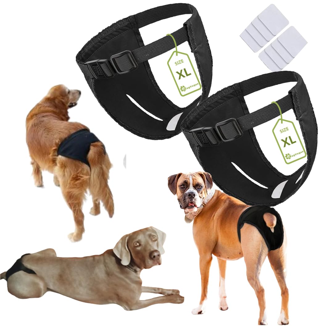 Bragas Perras Menstruales. Braguitas Perro Celo Hembra. Braga Perro Celo Hembra. Bragas para Perros Celo Hembra- 2 uds Incluye 8 Toallas SANITARIAS, Talla XL, Negro