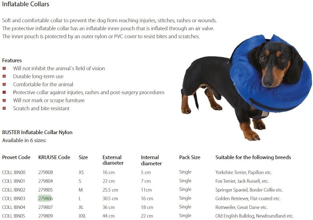 inflatable buster collar