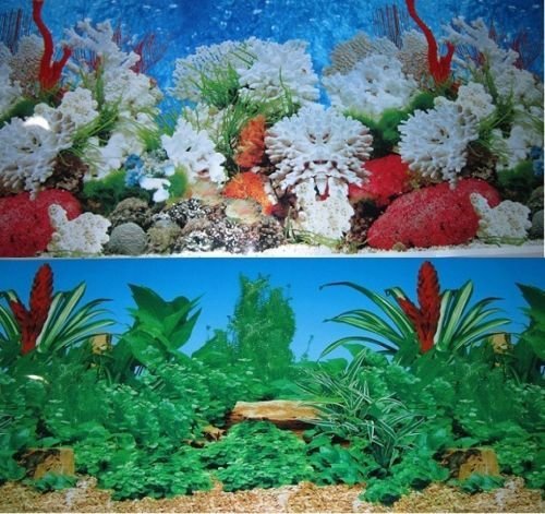 Karen Low Double Sided Aquarium Background Decorations Coral Reef Freshwater Planted and Driftwood