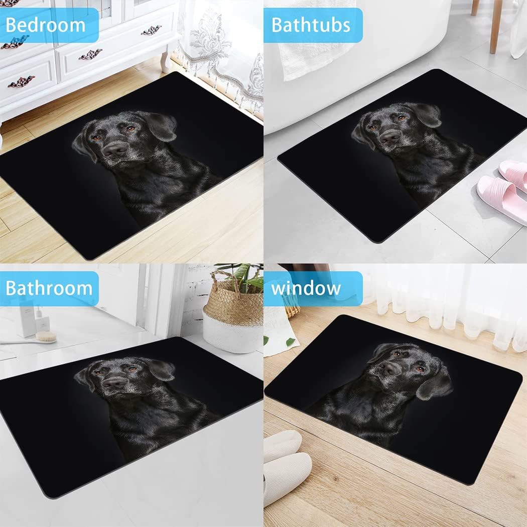 Black Lab Bath Mat Non Slip Washable, Dog Labrador Retriever Bathroom Rugs for Shower Room Bathtub, 17"x24"