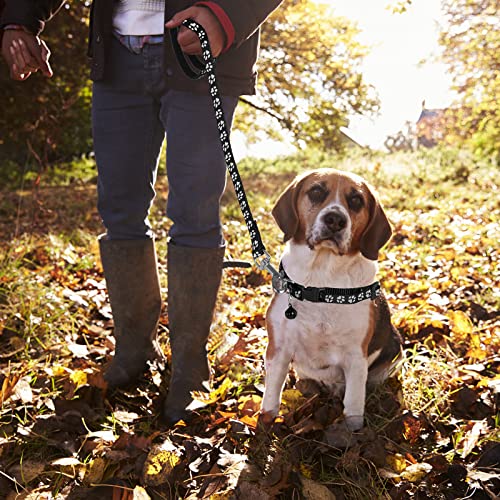 Molain Hundehalsband und Leine, 2er Set, verstellbares Haustier Hundehalsband mit Leine strapazierfähiges Trainingsleinenseil Schnellverschluss Schnallenhalsband für kleine Hunde Katzen Welpen
