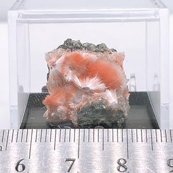 Amazon.co.jp: メソライト 原石 鉱物標本 864 : おもちゃ