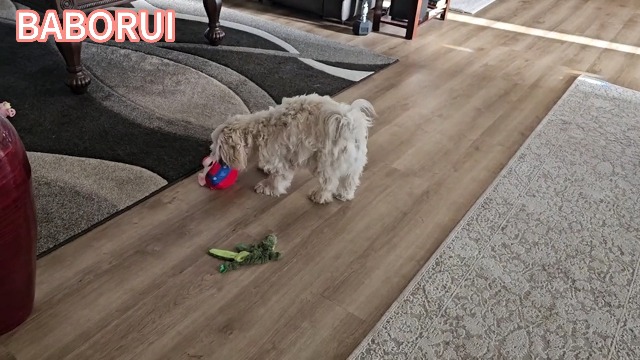 BABORUI Interactive Dog Toys Pig, Jumping Squeaky Dog Toys with Recording and Music Modes, Rechargeable Moving Dog Chew Toys for Small/Medium/Large Dogs to Keep Them Busy(Blue Pig) - image 8