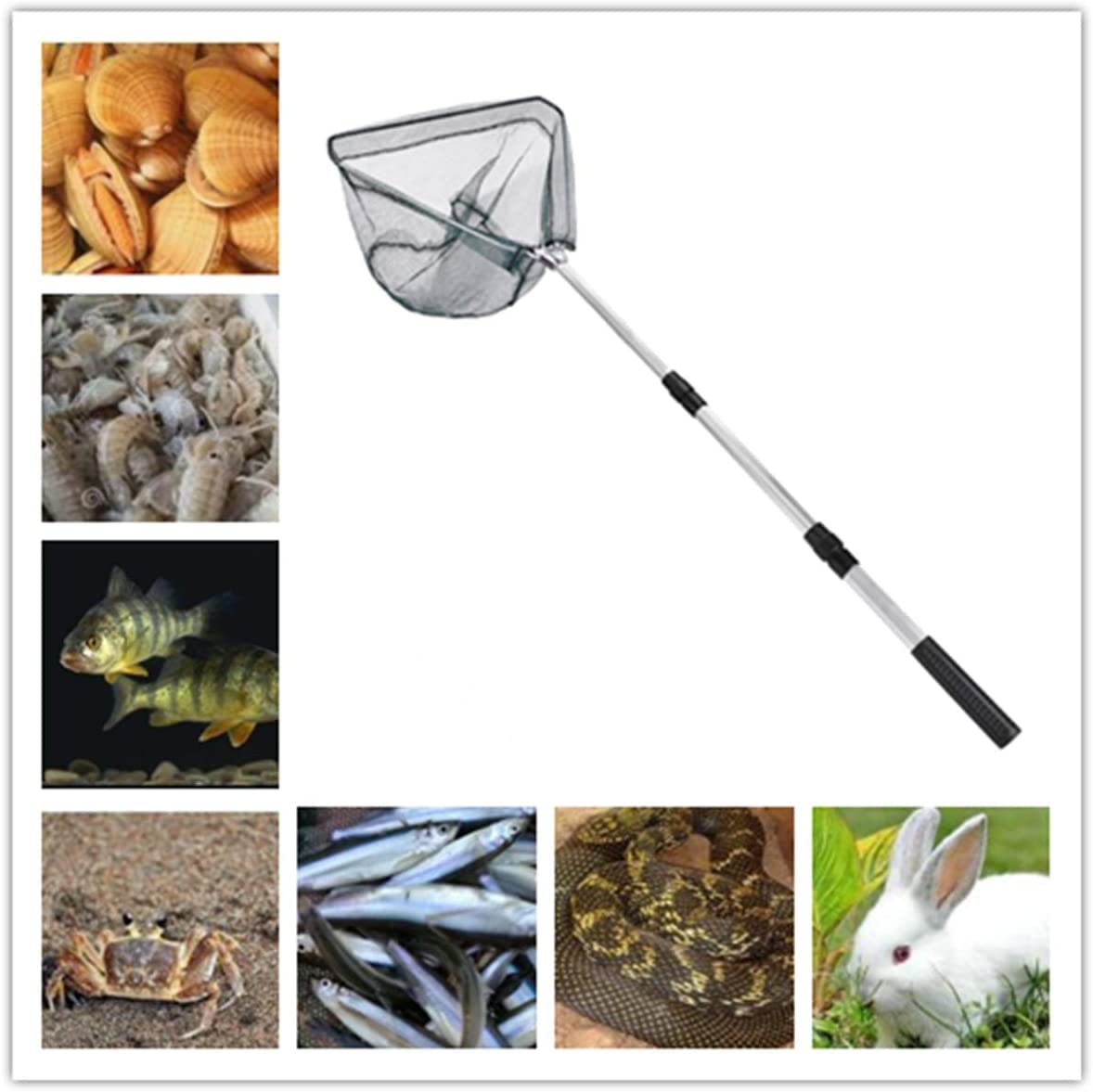 LEcylankEr Épuisette de pêche pliable épuisette caoutchoutée avec manche télescopique de 120 cm épuisette de capture épuisette de pêche pour fishing