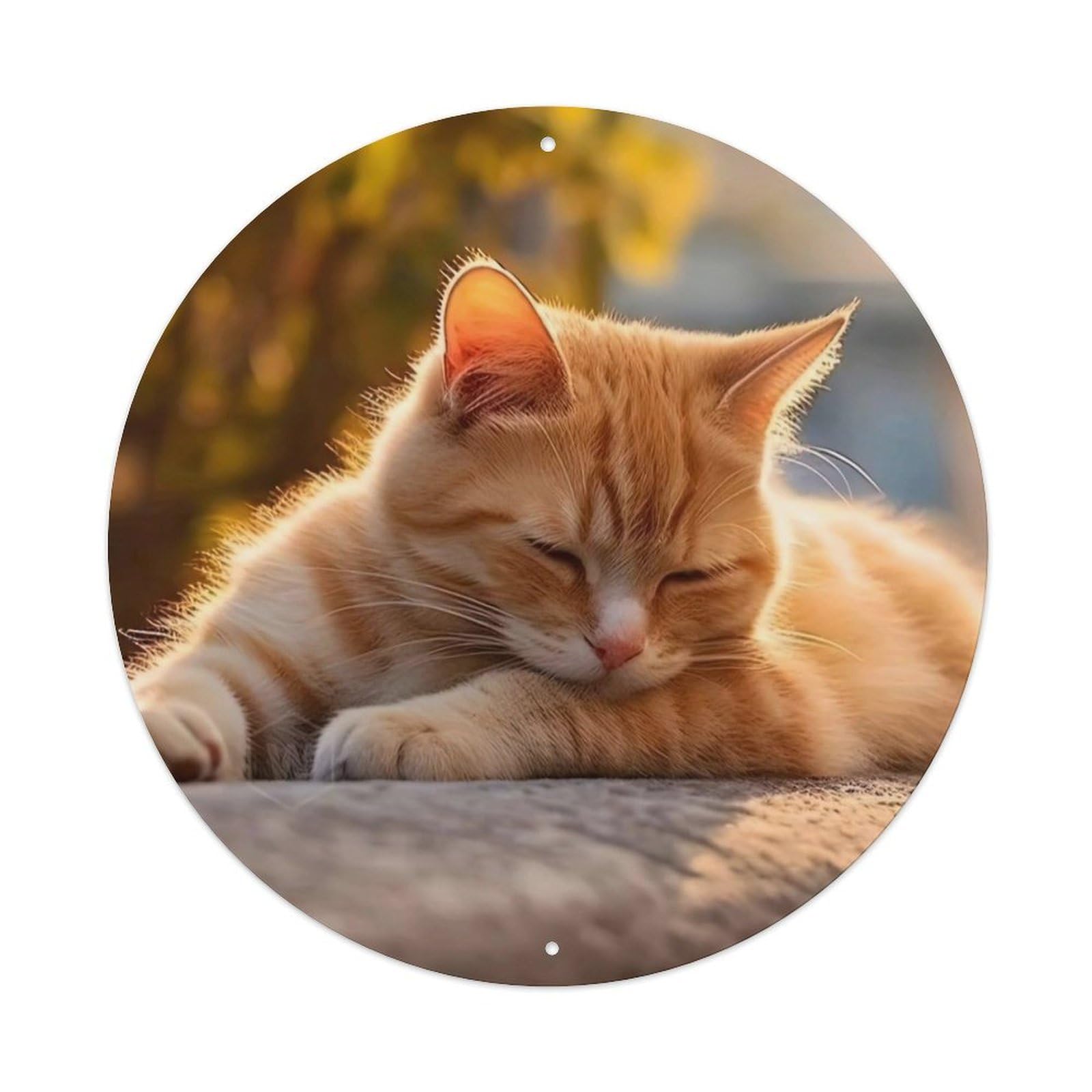 Cwbufd Vintage Style Animal Ginger Cat Sleeping In Autumn Sunlight With Bokeh Leaves Vintage Metal Tin Sign Plaque Wall Decor For Cafe, Club Bar, Office, Garden Metal Poster 8X8inch
