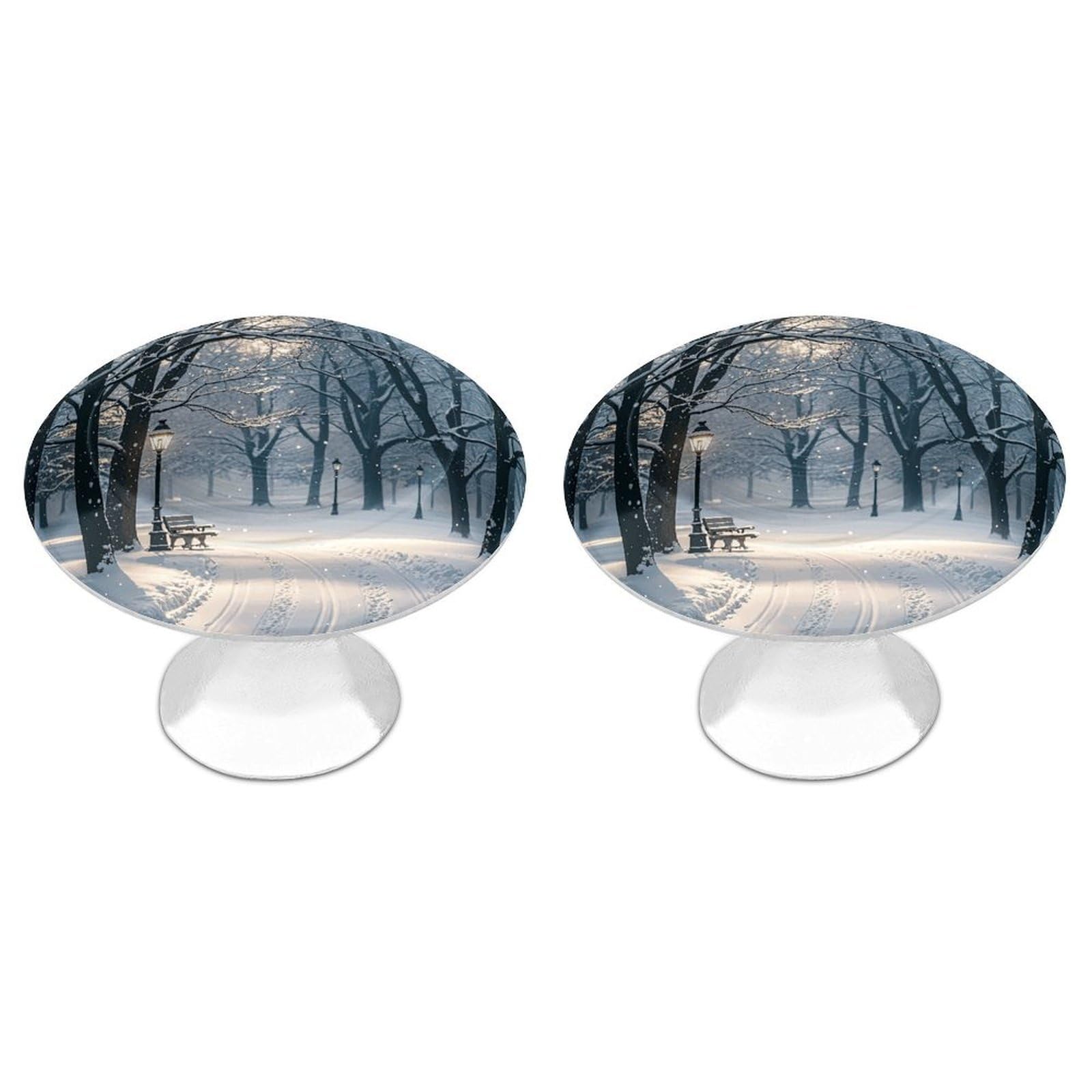 DWVTSLH Winter Snow Falling in The Park Cabinet Handles 2 Pack Stainless Steel Kitchen Drawer Pulls with Installation Screws Round Dresser Drawer Knobs 1.1 Inch Modern Cabinet Hardware Door Handles