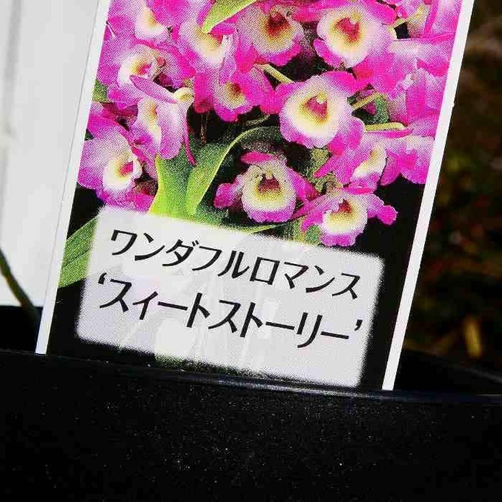 ロマンスの花束 クリムト「接吻」を再現した花束 Bouquet reproducing Klimt's