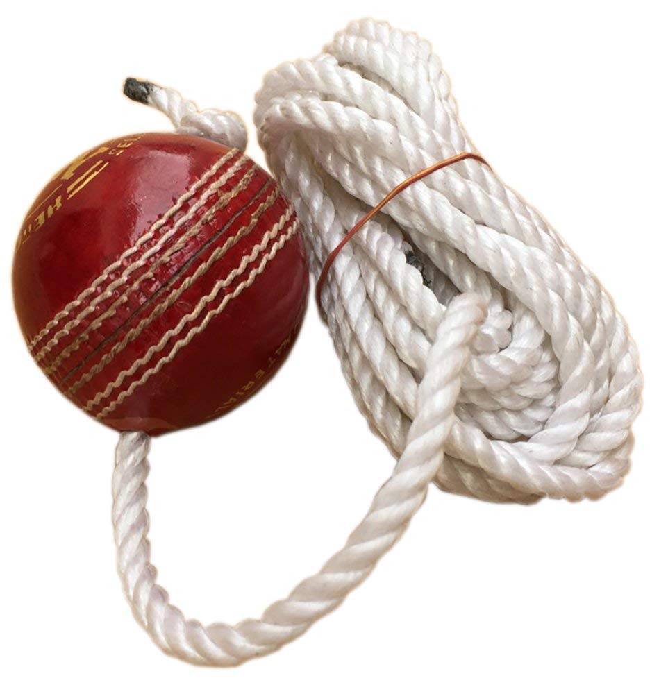 BK SPORTS Leather Cricket Shot Practice Hanging Ball, Multi-Color (B09N3L9JCS) Amazon Price History, Amazon Price Tracker