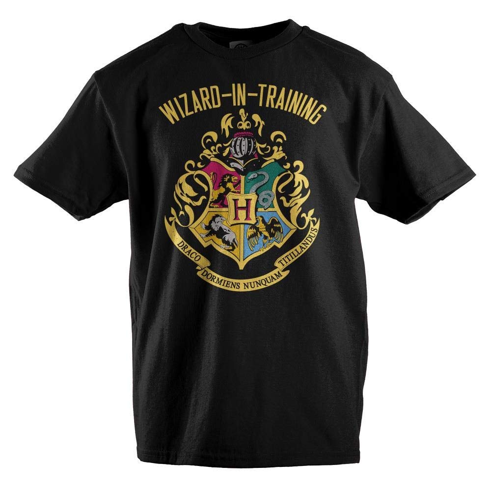 HARRY POTTERBig Boys Wizard In Training Navy Heather T-shirt