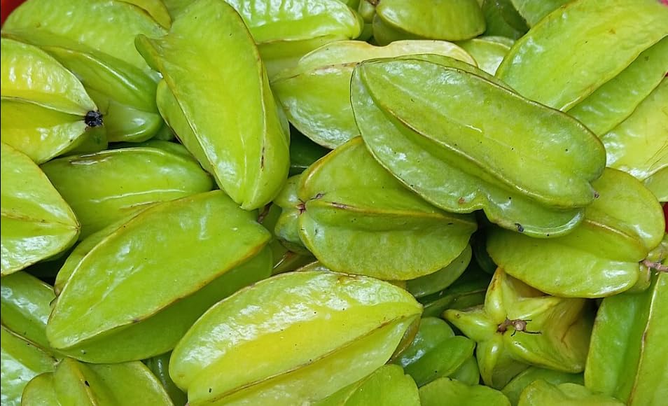 BISWAS GREEN VALLEY Thai Sweet Star Fruit Carambola Kamranga Amrak Grafted Live Plant (B0CZF1B6NV) Amazon Price History, Amazon Price Tracker