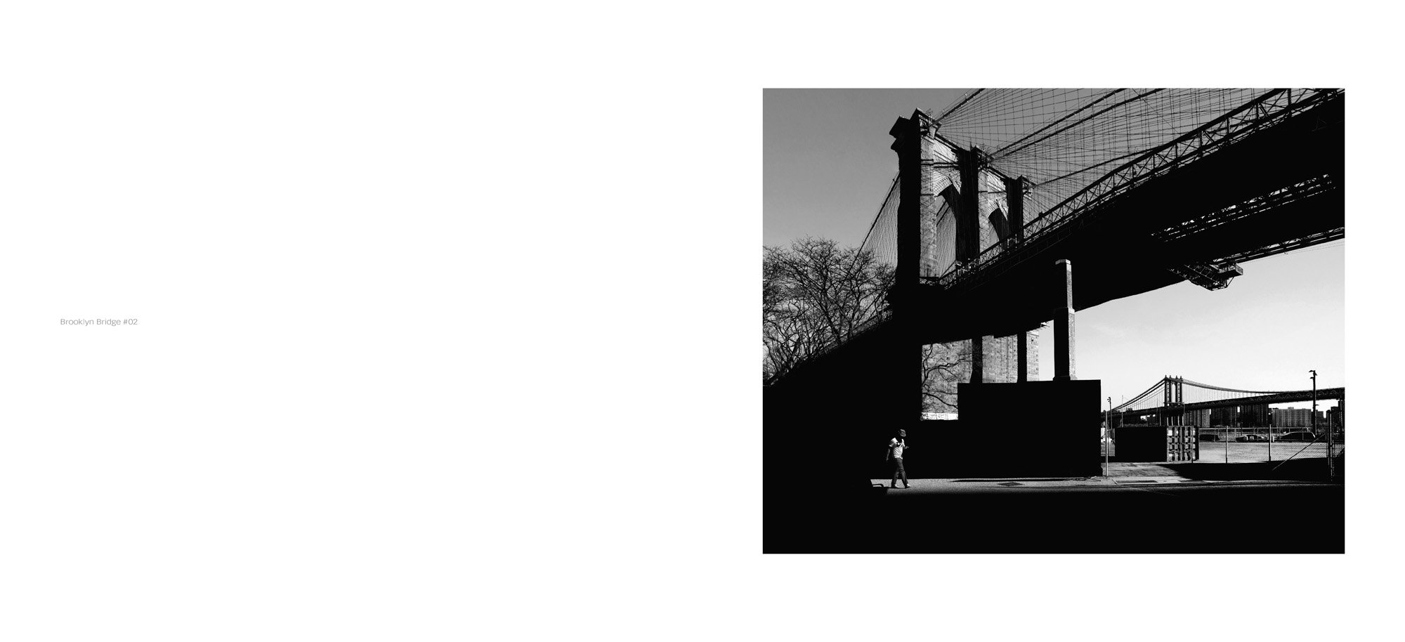 New York. Metaphysics of the Urban Landscape [Lingua inglese] [Lingua Inglese]