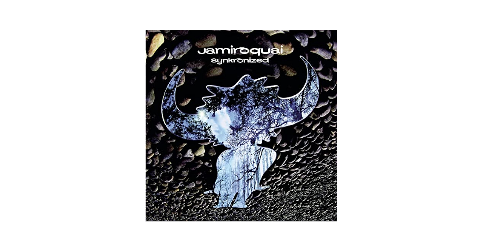 UKオリジナル盤 Jamiroquai Synkronized レコード LP Amazon.com: Synkronized: CDs & Vinyl