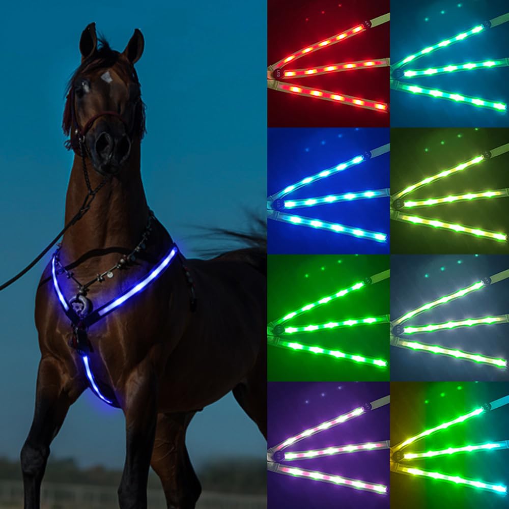 Sangle de poitrine lumineuse pour cheval - 7 couleurs LED réglables - Accessoires de fixation (sangle noire, rechargeable par USB)