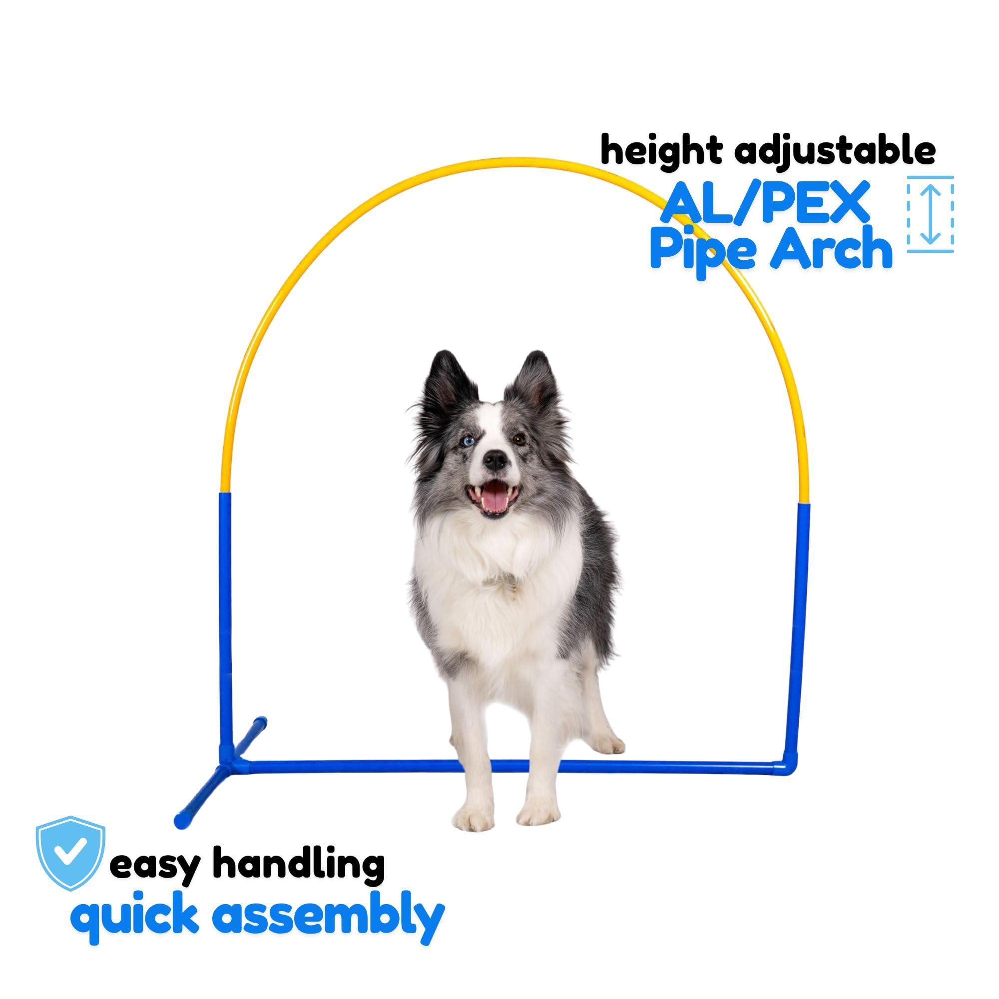 Callieway NADAC Hoopers Agility Hoops duże opakowanie Fun Hoops niebieskie 6 sztuk ze środkową podporą