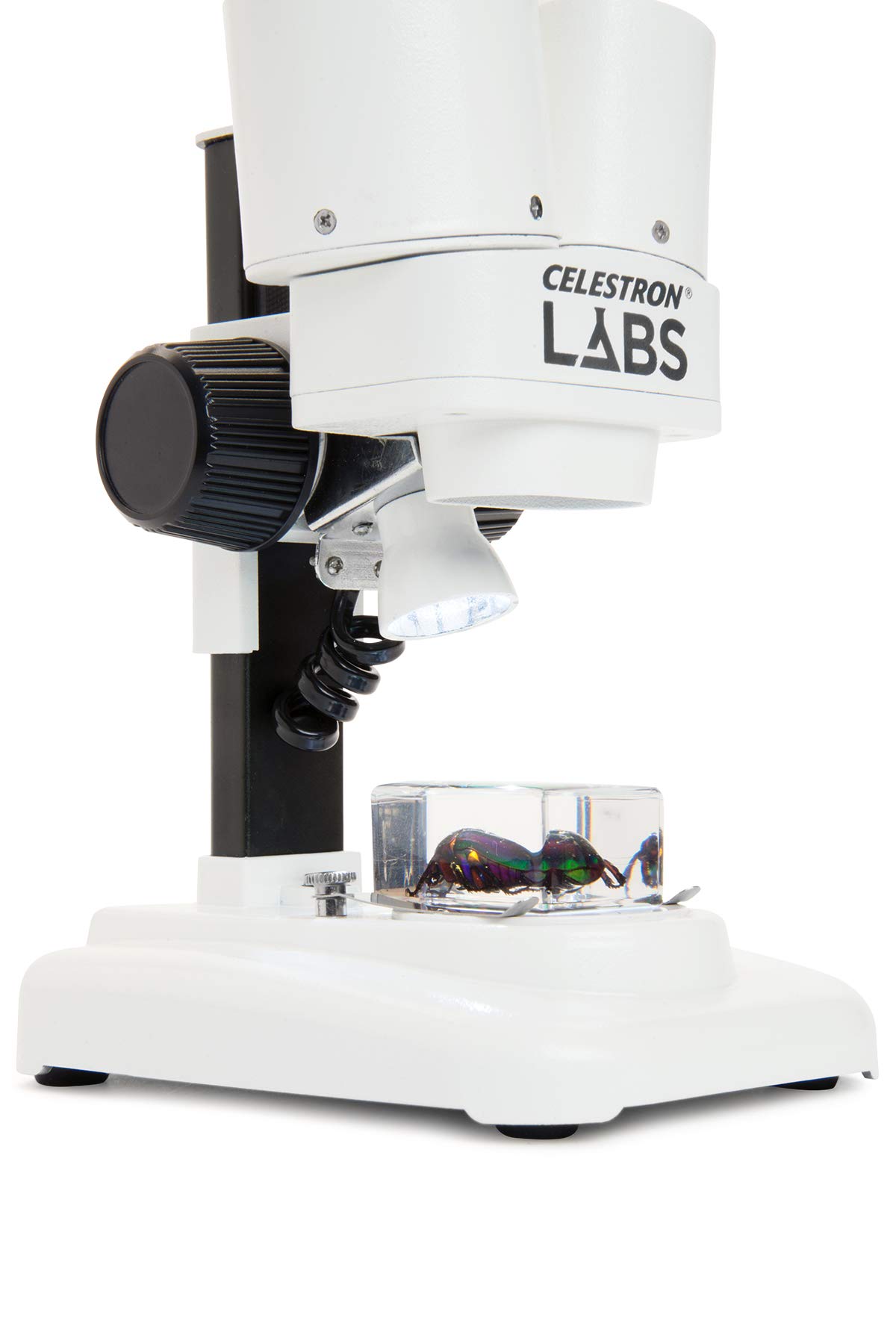 Celestron 44207 Labs CL-S20 Microscopio stereo