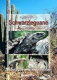 Schwarzleguane: Lebensweise, Pflege, Zucht - Gunther Köhler 