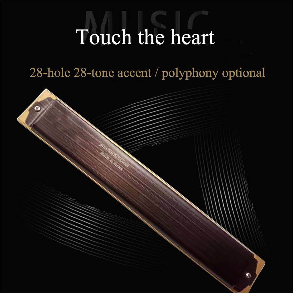 Harmonica C Key Tremolo Diatonic Harmonica con Custodia Rigida e Panno per Giocatori Professionisti, Principianti, Studenti, Adulti e Bambini