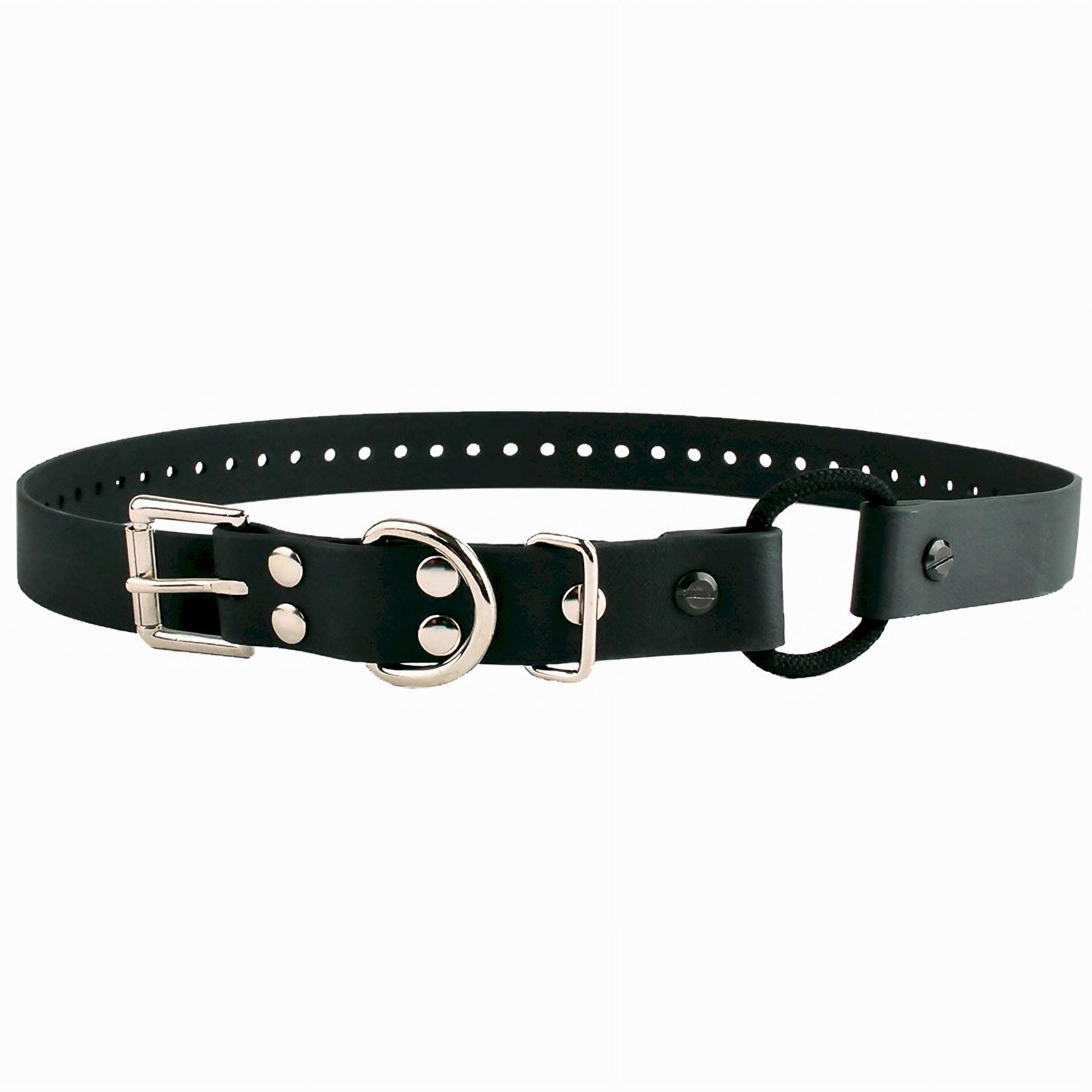 Bungee Collar, 3/4-Inch Wide by 33-Inches Long, Black