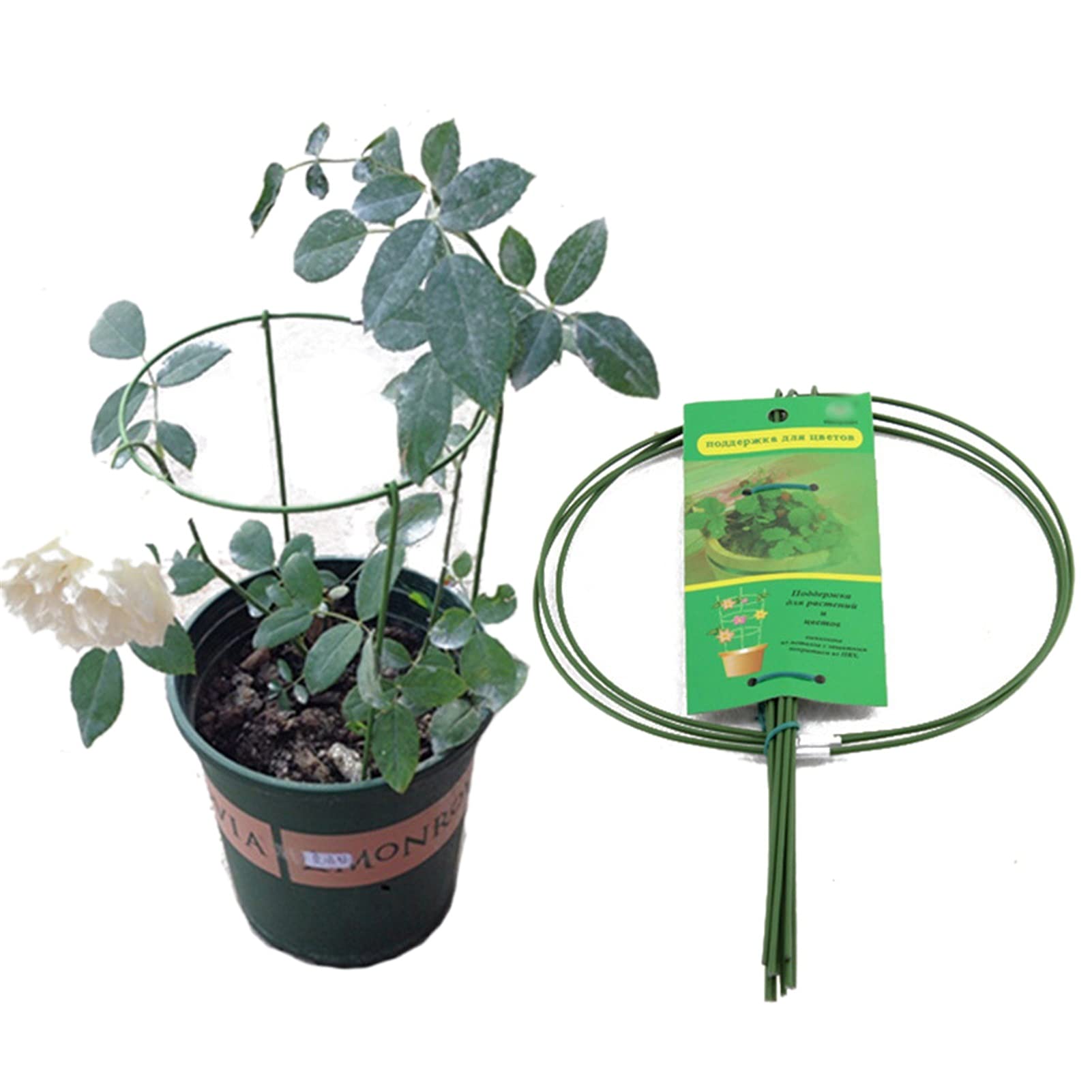 Plante stakes métal jardin tuteur demi-lune pour fleurs