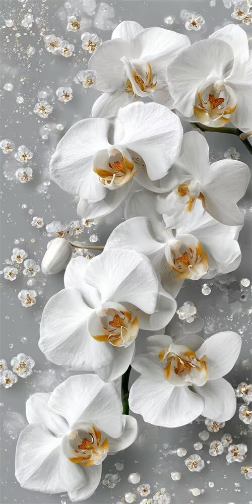 Diamond Painting Kits for Adults, 5D Diamond Art Phalaenopsis Orchid 80x160cm, DIY Large Elegant Dimond Art kits Adults, Square Drill Crystal Rhinestone Embroidery Canvas for Home Decor (SQ899)