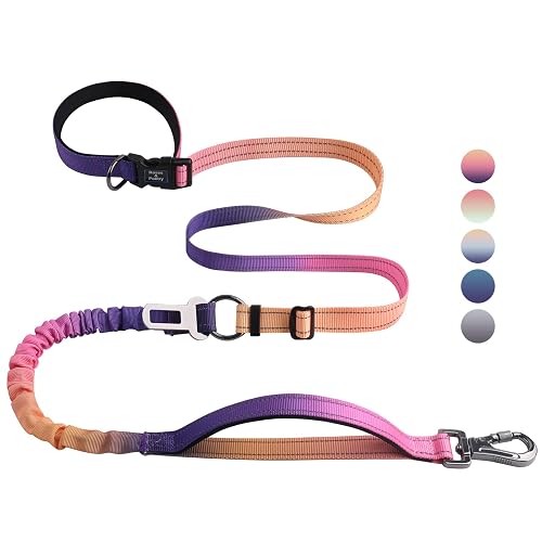 Roses&Poetry Hands Free Dog Leash Heavy Duty,No Pull Bungee Dog Running Waist Leash for Walking Training with Car Seatbelt 4-6FT - Mistyrose