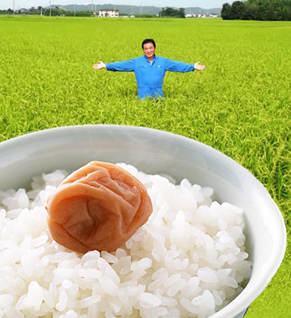 千葉県産コシヒカリ　令和6年産　10キロ Amazon.co.jp: 即出荷 令和6年度新米 千葉県産 こしひかり10kg 一等米