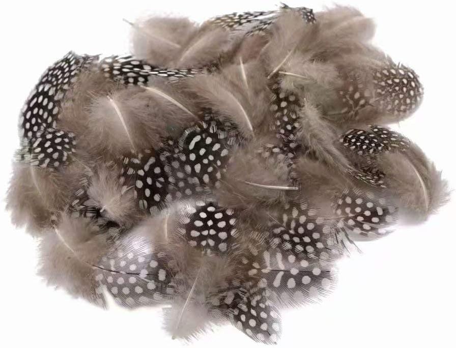 Natural Feathers